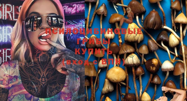 твердый Кукмор